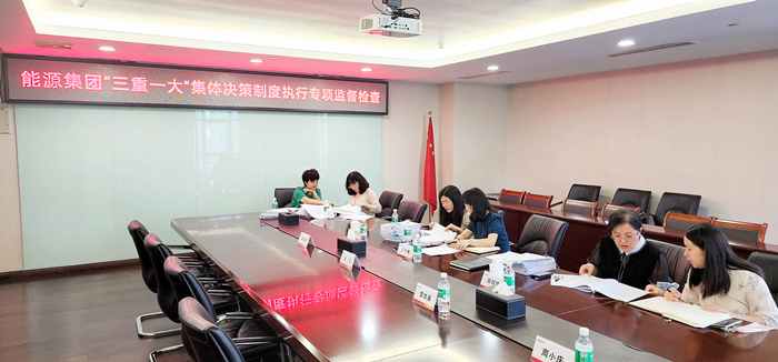 集團專項組督查新能源公司“三重一大”集體決策制度執行情況  劉滿江 攝_副本.jpg